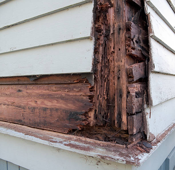 How to Repair Siding?