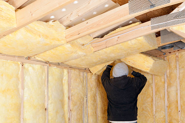 What Is the Best Insulation For an Attic?